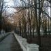 Парк в городе Синельниково