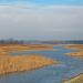 Lipovskii ornithological reserve