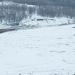 Яблоневый сад «Корольков сад» УНПК «Агроцентр» СГАУ в городе Саратов