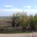 Yolo Bypass Wildlife Area