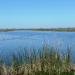 Yolo Bypass Wildlife Area