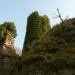 Ruines du château de Malval