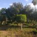 Jardín El Harti, Marrakech