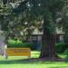 UC Davis Arboretum Headquarters