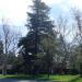 UC Davis Arboretum Headquarters