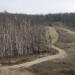 Детский оздоровительный лагерь «Дружба» в городе Саратов