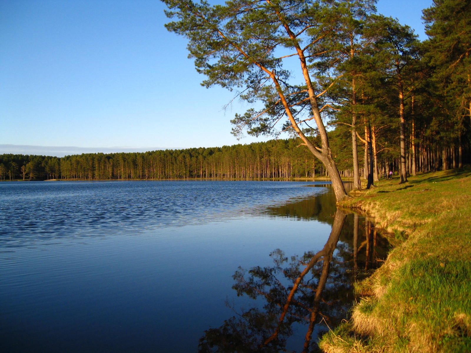 Озеро Самусь Томск