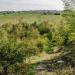 Pooley Fields reclaimed slag heap