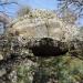Nuraghe Orgoru or Orgorù