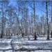Урочище «Троицкий лес» в городе Казань