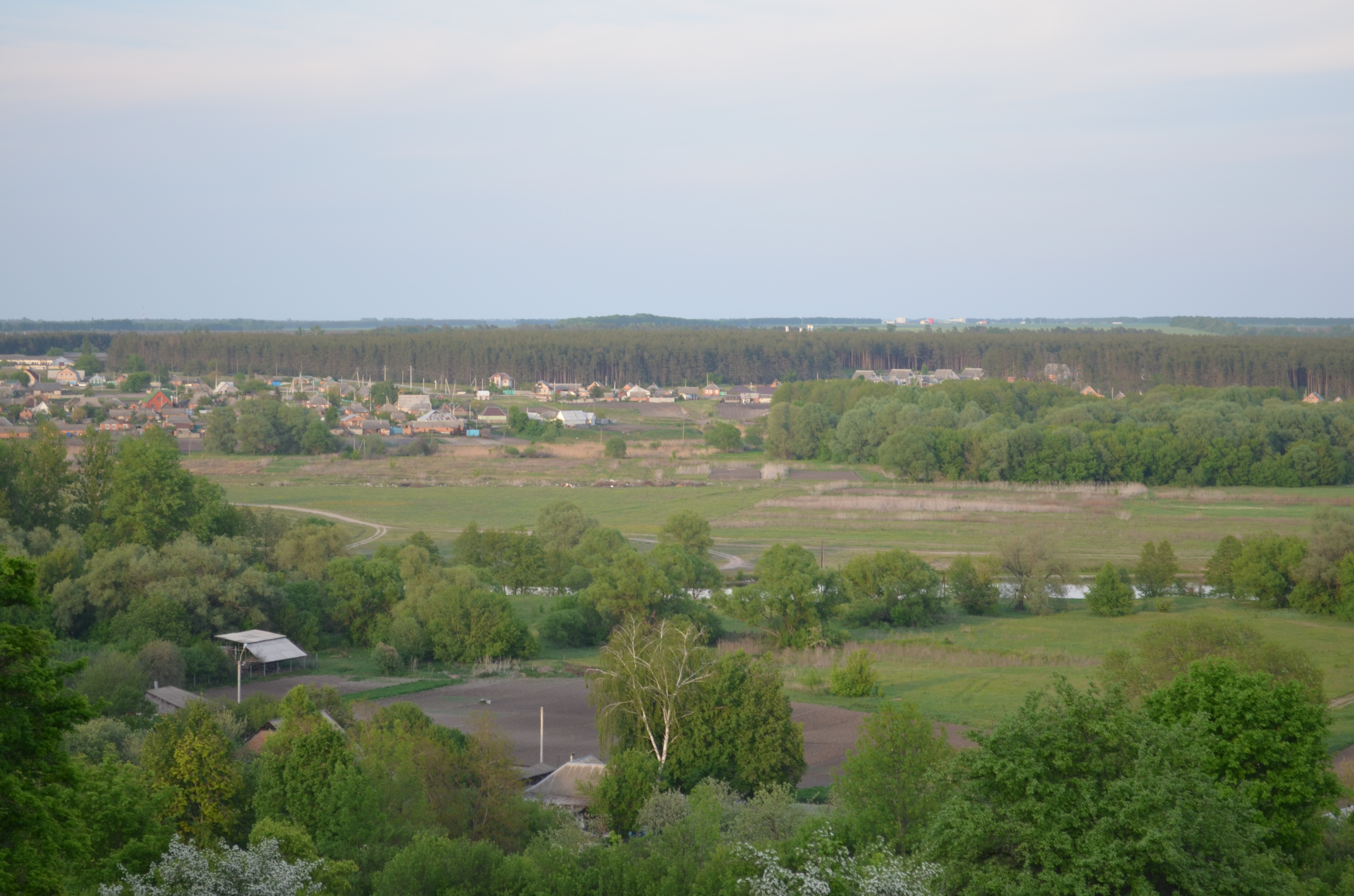 Село новая Таволжанка Белгородской области
