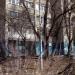 Огородная ул., 31 в городе Саратов