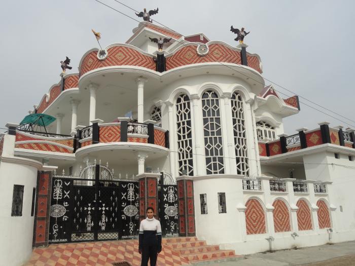 Pind Dhamian Kalan, Punjab Fantasy homes, House styles, Home