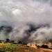 Photograhy jehad shwayat في ميدنة مدينة كفرنجة 