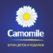 Магазин цветов и подарков Сamomile (ru) in Moscow city