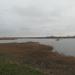 Pond