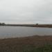 Pond