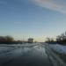 Дубовый лес в городе Саратов