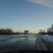 Дубовый лес в городе Саратов