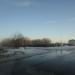 Дубовый лес в городе Саратов