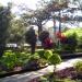 Sunshine Park in Baguio city