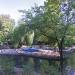Lacul Lebedelor în Bucureşti oraş