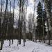 Парк им. Карбышева в городе Нахабино