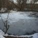 Пруд в городе Павловский Посад