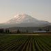 Trout Lake, Washington