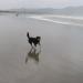 Agate Beach, Oregon