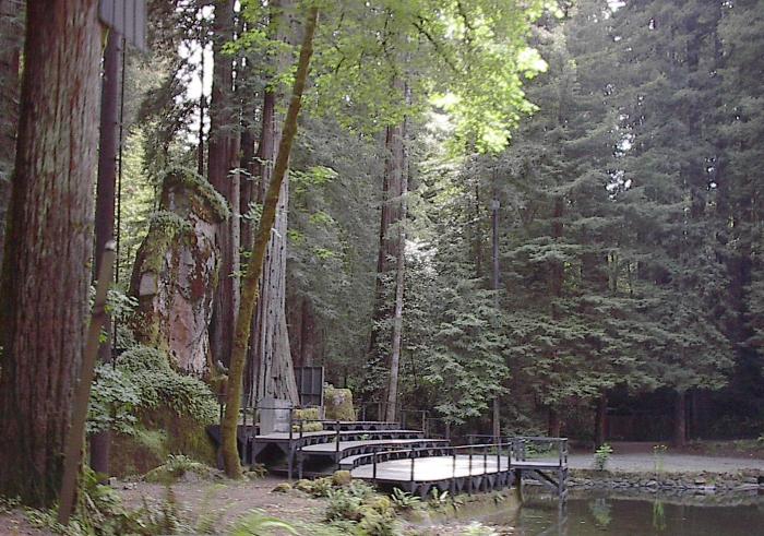 Bohemian Grove Bohemian Avenue 20601