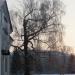 Берёза с «медвежьей головой» в городе Дивеево
