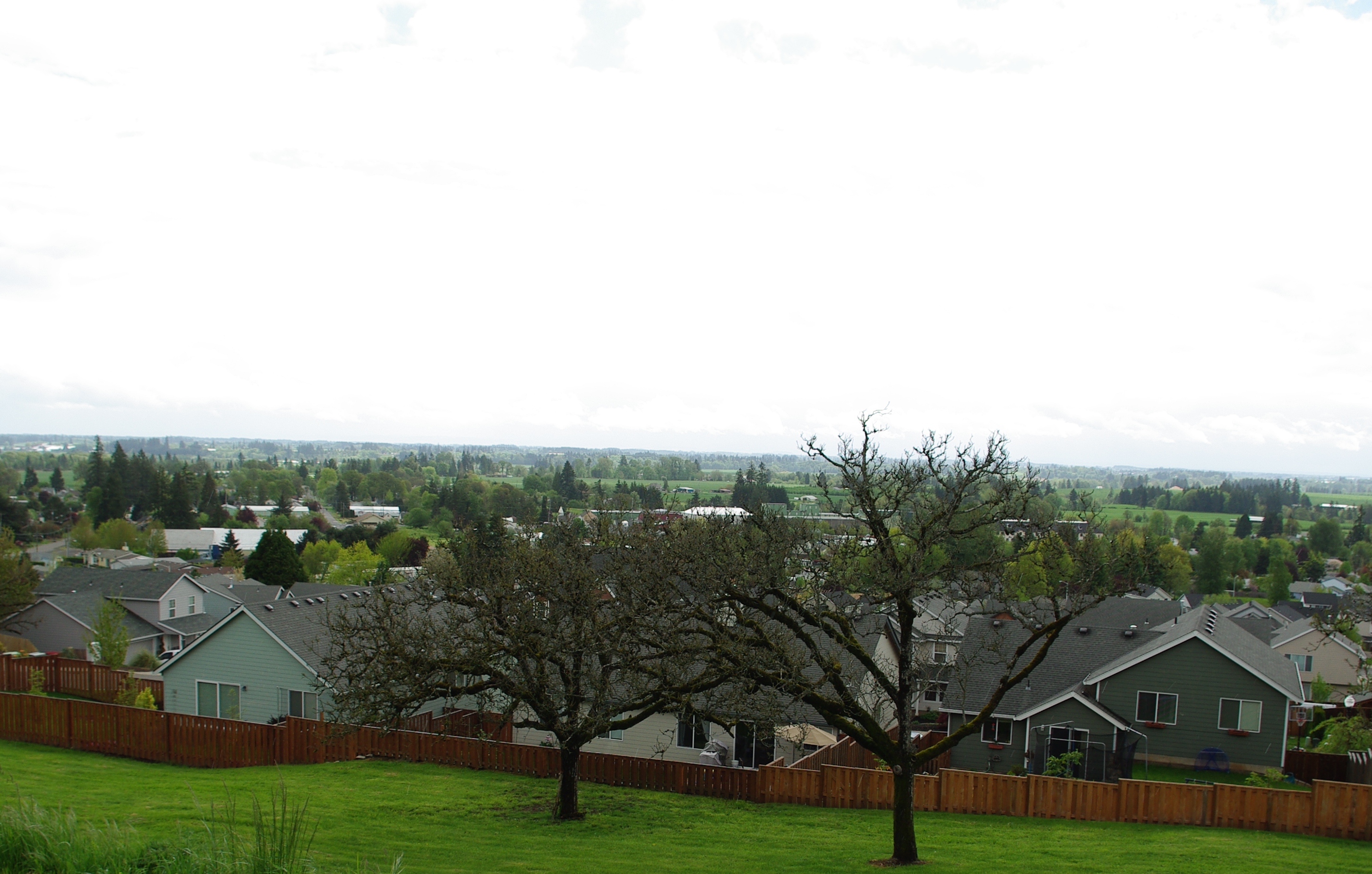 Dundee, Oregon city