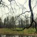 Прямоугольный пруд в городе Гатчина