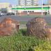 Композиция «Быки» в городе Гомель