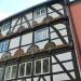 Haus zur Rose in Stadt Soest