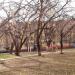 ул. Куйбышева, 10 в городе Саров
