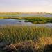 Rietvlei Wetland Reserve in Cape Town city