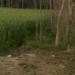 plots in Haridwar city