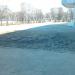 Клумба в городе Раменское
