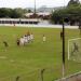 Estádio Waldomiro Gelinski na Guarapuava city