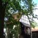 Burghofmuseum in Stadt Soest