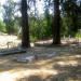 St. Patrick's Catholic Cemetery in Grass Valley, California city