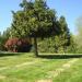 Elm Ridge Cemetery in Grass Valley, California city