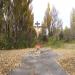 Крест в память об аварии на ЧАЭС (ru) in Prypiat city