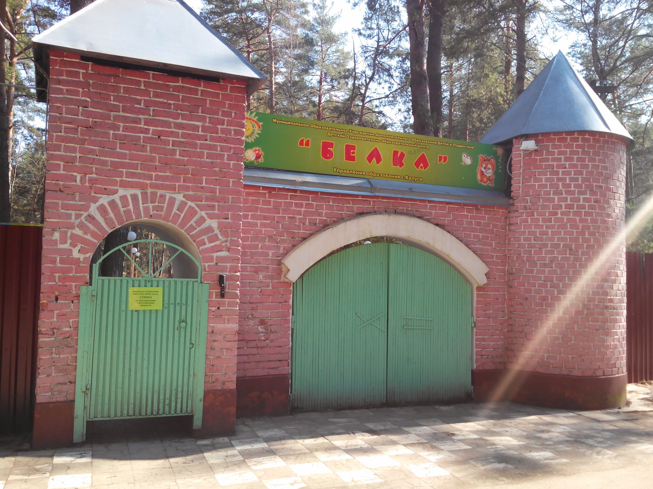 Лагерь белка калуга фото