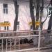 Гинекологический корпус в городе Владивосток