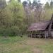 Лесничество в городе Киев