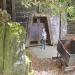 Gold Bug Mine in Placerville, California city