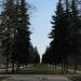 Square in Moscow city